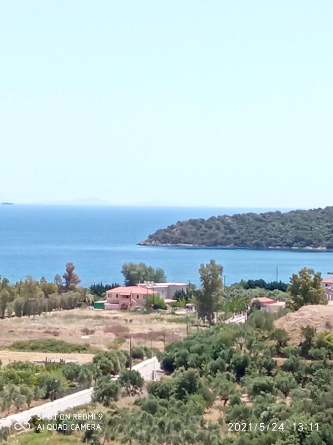 Villas Guest House Vathí Buitenkant foto